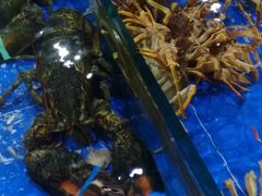 -山东八大碗山东老字号