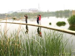 -永定河休闲森林公园