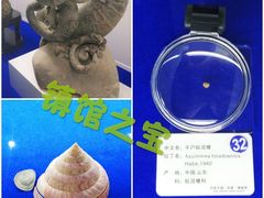 -贝壳王国博物馆