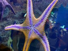 -海合安武汉极地海洋公园