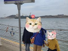 -海驴岛(荣成市)