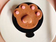 -喵屿·大理花园猫咖