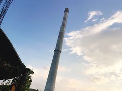 -柴犬高等学院·狗咖·柴犬售卖·宠物训练