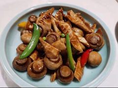 鲜口蘑烧芦笋-北平盛世·新京菜·北京烤鸭(劲松·双井店)