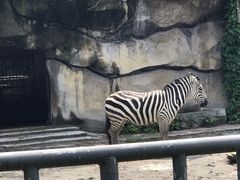 -重庆动物园·东二门售票处