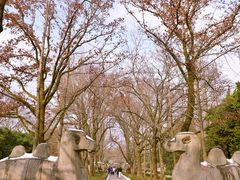 -梅花山(明孝陵内)