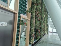 -WFC会仙楼观景台