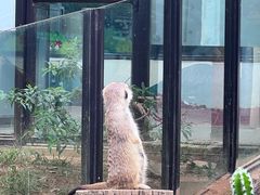 -大连森林动物园