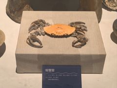 -余姚博物馆