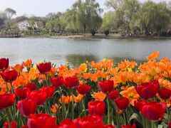 -石家庄市植物园