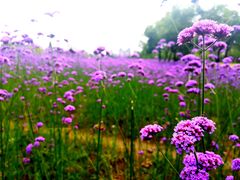 -杭州城北体育公园