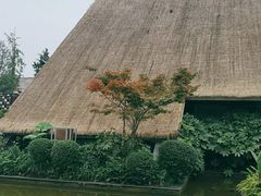-老房子金沙元年川菜食府·花园餐厅(金沙店)