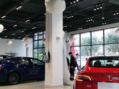 -TESLA 特斯拉(深圳观澜特斯拉直营钣喷中心)