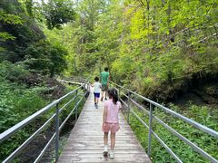 -峡谷浮石林景区