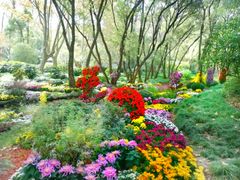 -上海共青森林公园