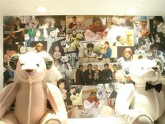 -济州岛泰迪熊博物馆