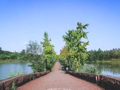 -白鹭湾湿地公园