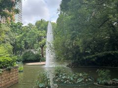 -九龙公园