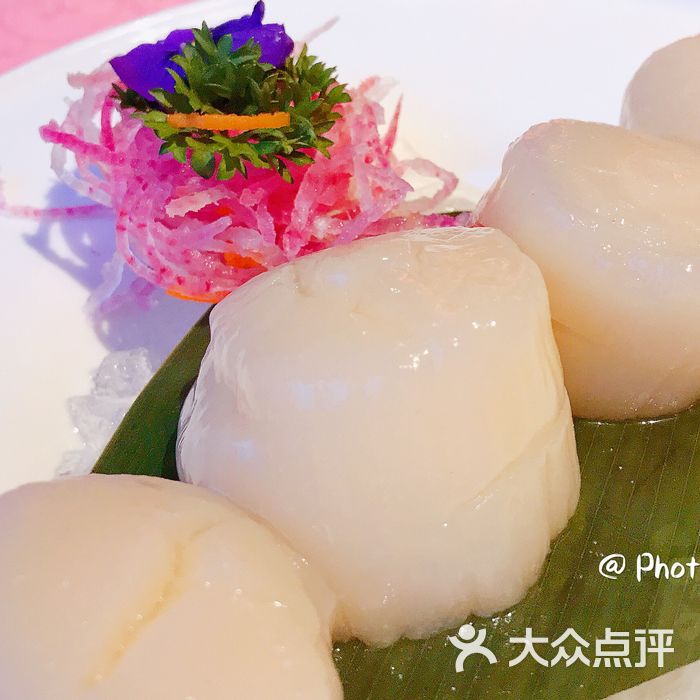 裕华东发.海鲜火锅酒楼北海道带子图片-北京火锅-大众点评网