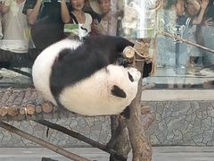 -西安秦岭野生动物园