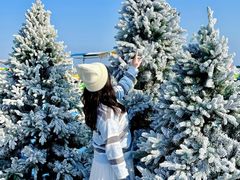 -汕头中海黄金海岸水上乐园