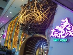 -大灰狼(中心书城店)