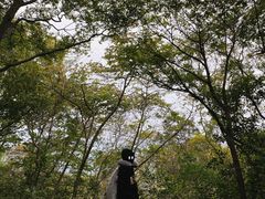 -紫金山山顶公园