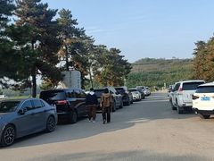 -汉景帝阳陵博物院