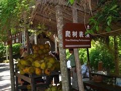 -海南槟榔谷黎苗文化旅游区