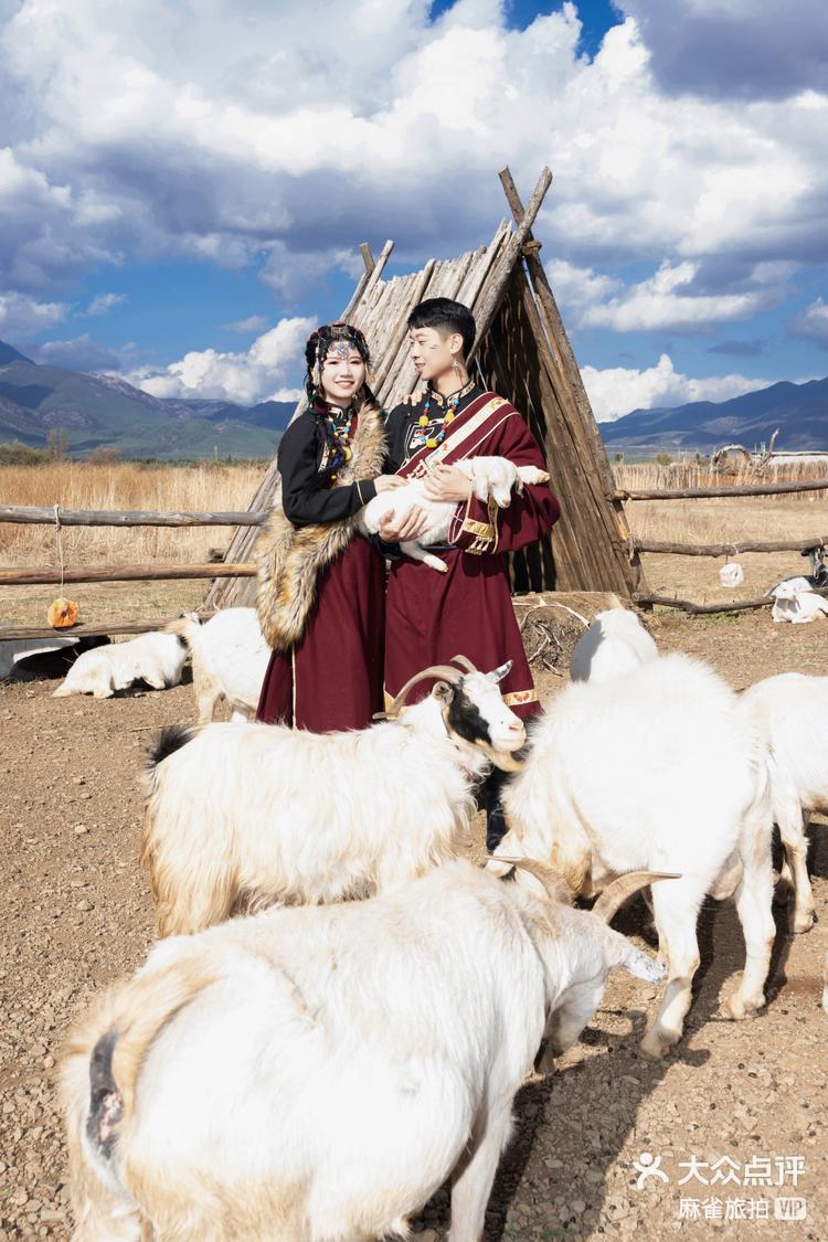 骑马放羊—看随山-大众点评