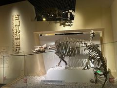 -国家自然博物馆