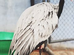 -哈尔滨北方森林动物园