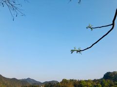 -新安江山水画廊风景区