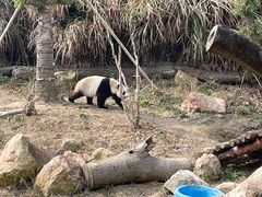 -宁波野生动物园