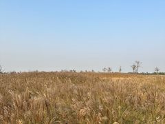 -汉长安城未央宫国家考古遗址公园