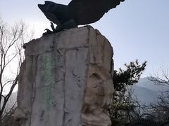 -北京鹫峰国家森林公园