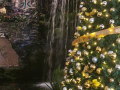 -广州白天鹅宾馆