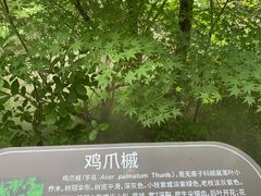 -江苏三台山国家森林公园