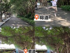 -大湾区中央湿地公园