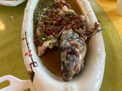 -胖大姐黄辣丁鱼庄(新津店)