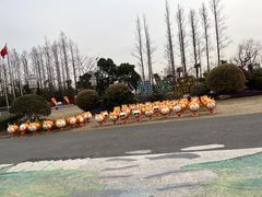 -上海长兴岛郊野公园