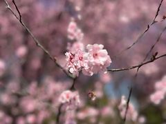 -白塘生态植物园