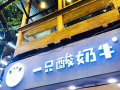 -一只酸奶牛(八一路店)
