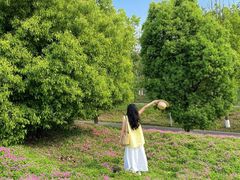 -白鹭湾湿地公园