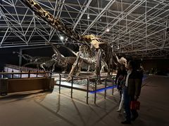 -世界恐龙谷景区