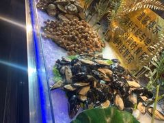 -鑫海汇海鲜烤肉自助(北国商城店)