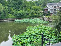-朴墅(西湖青芝坞店·杭帮菜·家宴.14年的店)