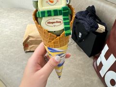 -哈根达斯(深圳海岸城店)