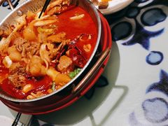 -撒拉花儿·新疆菜·清真(太阳宫店)