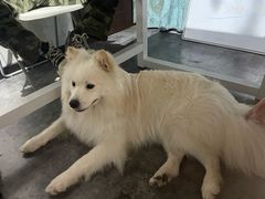 -剧狐剧本杀(徐汇1号店)